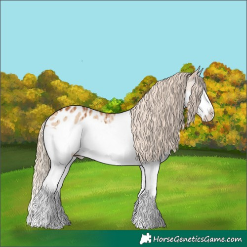 Horse Color:Red Dun Splash Appaloosa Brindle 