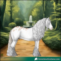 Horse Color:Red Dun Splash Appaloosa Brindle 