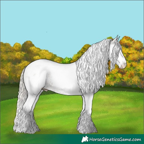 Horse Color:White Spotted Silver Grullo Tobiano Rabicano 