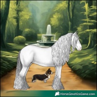 Horse Color:White Spotted Bay Dun Splash Tobiano 