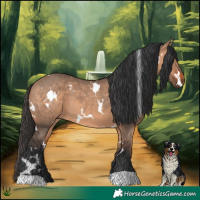 Horse Color:White Spotted Bay Dun