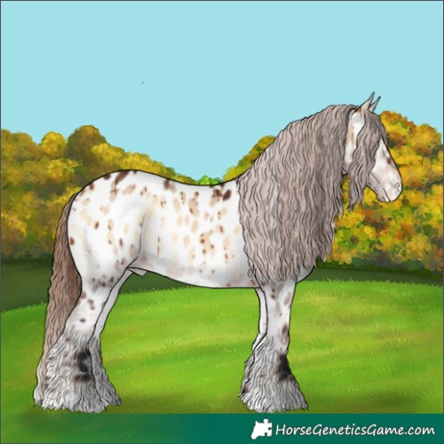 Horse Color:White Spotted Bay Onyx Near Leopard Brindle 