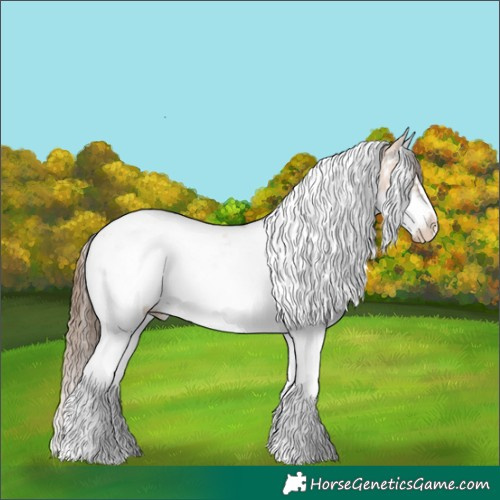 Horse Color:White Spotted Bay Dun Splash Tobiano Frame Blanket Rabicano 