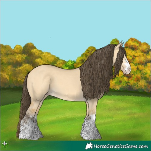 Horse Color:Amber Cream Champagne Dun 