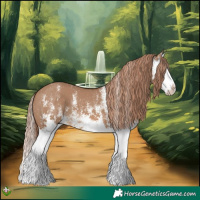 Horse Color:White Spotted Red Dun Splash 