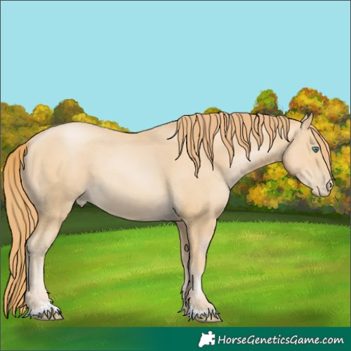Horse Color:Smoky Black Pearl