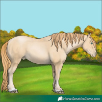 Horse Color:Smoky Black Pearl 