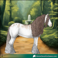 Horse Color:White Spotted Bay Dun Splash Appaloosa Rabicano 