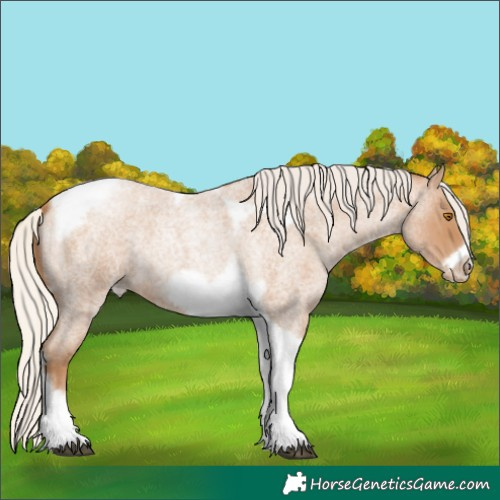Horse Color:Silver Blue Roan Pearl Tobiano Frame 