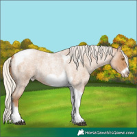 Horse Color:Silver Blue Roan Pearl Tobiano Frame