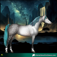 Horse Color:Gray Painted Bay 