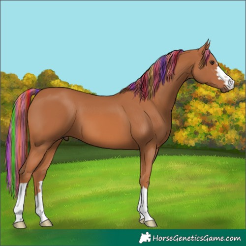 Horse Color:Painted Chestnut 