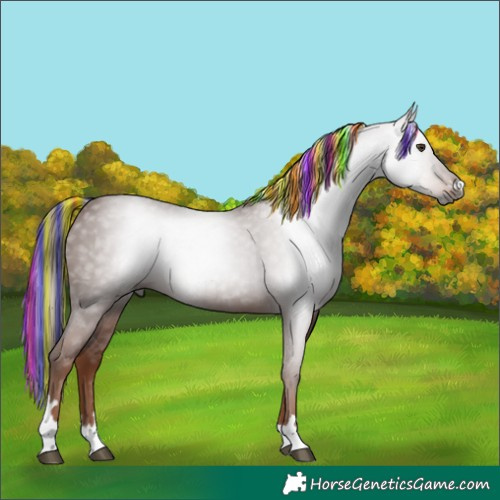 Horse Color:Gray Painted Chestnut 