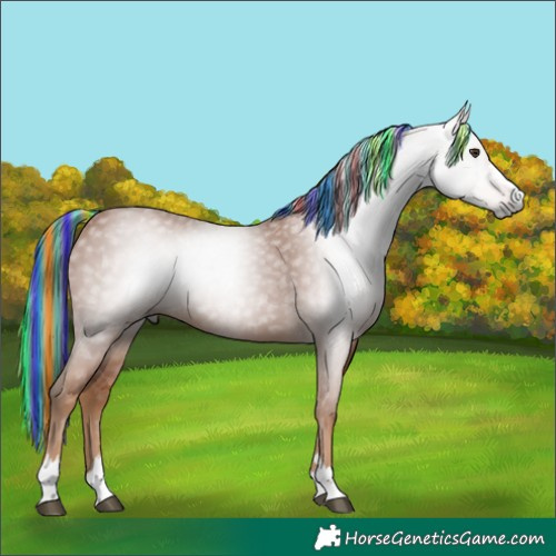 Horse Color:Gray Painted Chestnut 