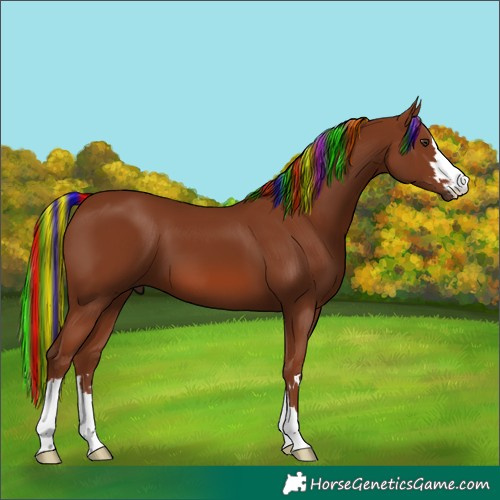 Horse Color:Painted Chestnut 