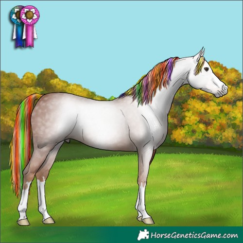 Horse Color:Gray Painted Chestnut 