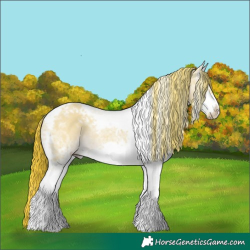 Horse Color:Watercolor White Spotted Liver Red Dun Tobiano Frame Rabicano 