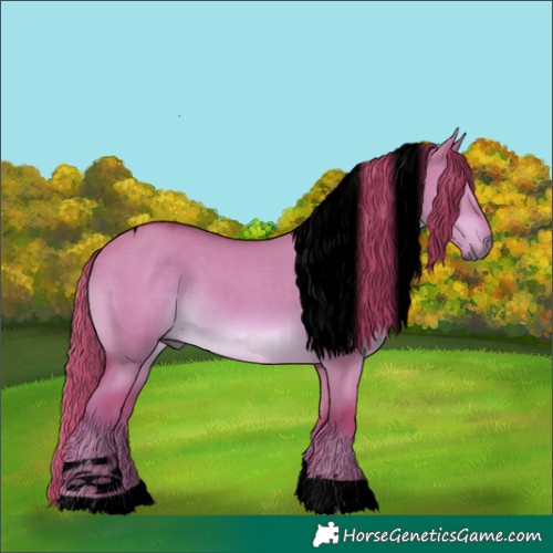Horse Color:Void Watercolor Red Dun Tobiano 