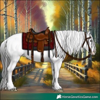 Horse Color:Brown Sabino 