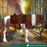 Horse Color:Chestnut Tobiano 