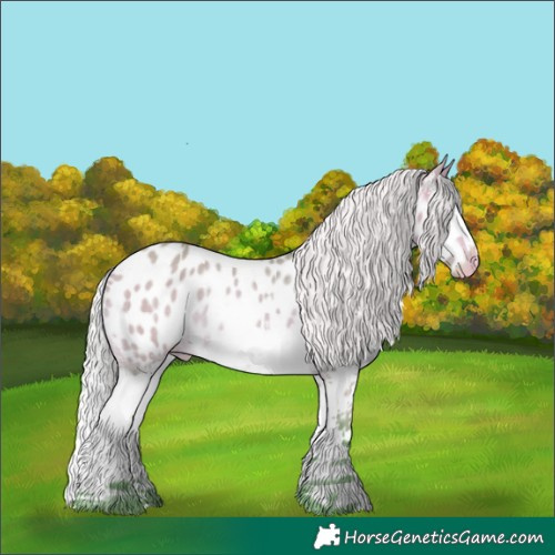 Horse Color:Watercolor White Spotted Silver Buckskin Dun Splash Blanket Rabicano 