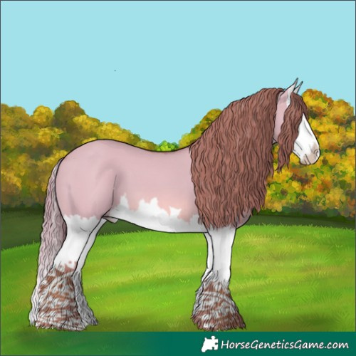 Horse Color:Watercolor Red Dun Splash 