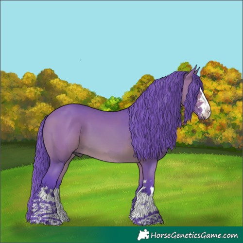 Horse Color:Watercolor Bay 