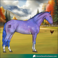 Horse Color:Watercolor Bay Tobiano 