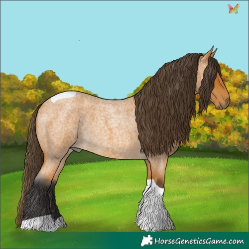 Horse Color:Buckskin Roan Tobiano Rabicano 