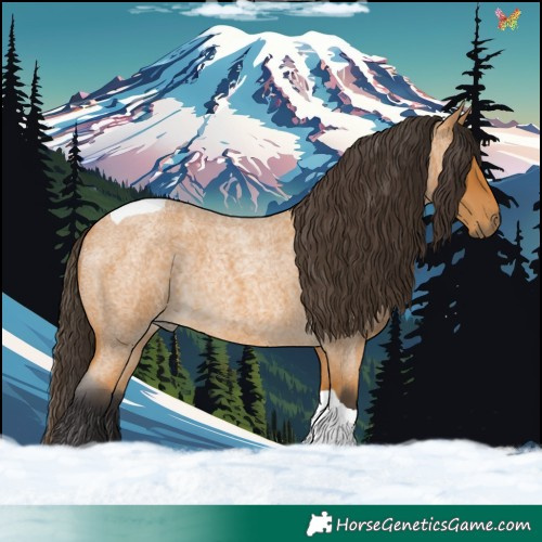 Horse Color:Buckskin Roan Tobiano Rabicano 