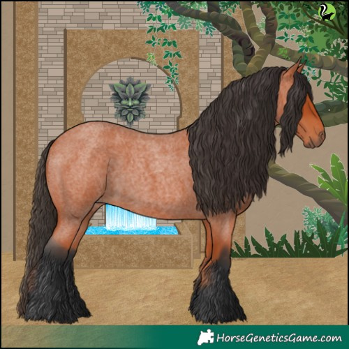 Horse Color:Bay Roan 