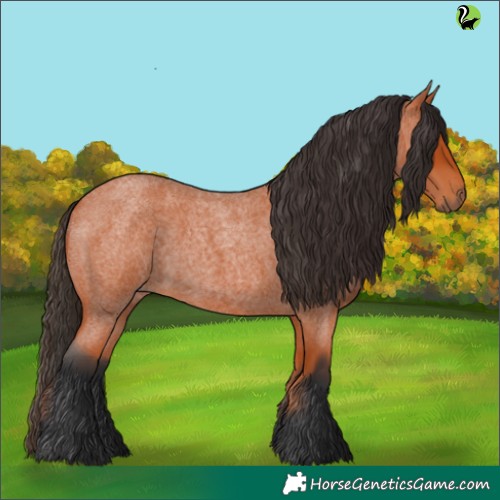Horse Color:Bay Roan 