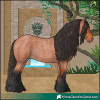 Horse Color:Bay Roan