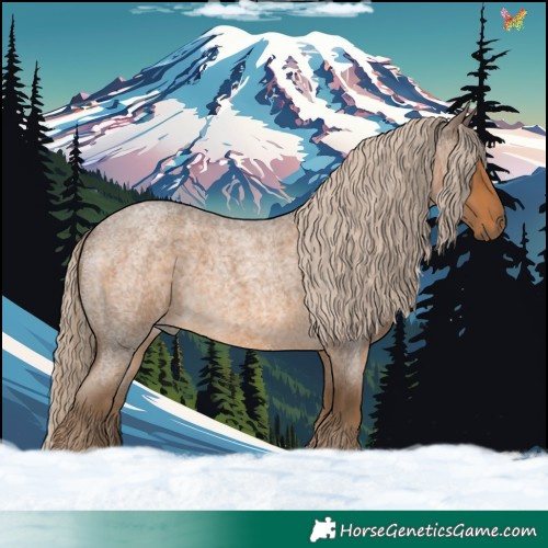 Horse Color:Chocolate Palomino Roan 