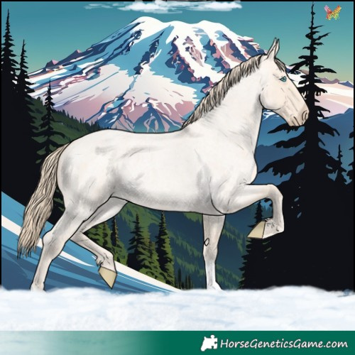 Horse Color:Perlino Roan 