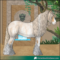 Horse Color:Palomino Roan Sabino 