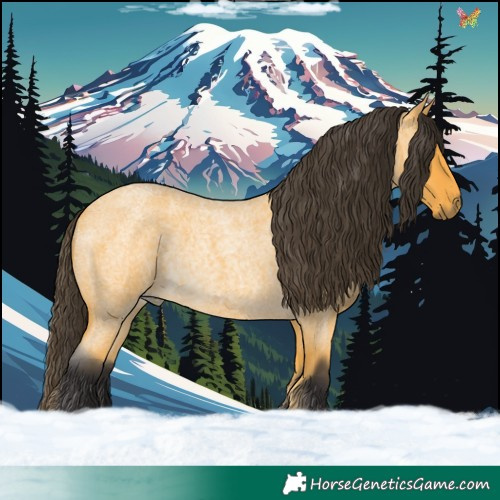 Horse Color:Buckskin Roan Rabicano 