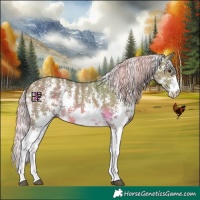 Horse Color:Watercolor Chocolate Palomino Sabino 