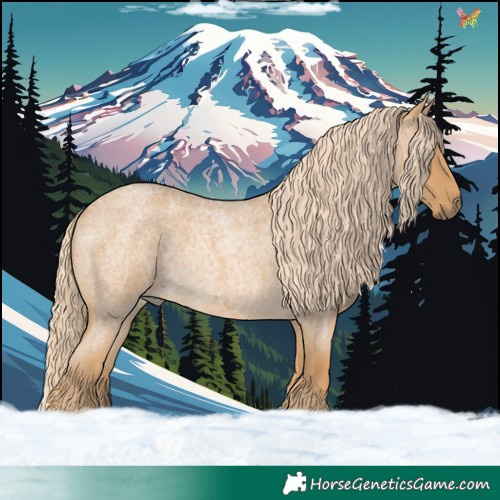 Horse Color:Palomino Roan 