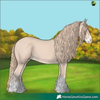 Horse Color:Perlino Splash