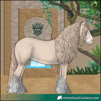 Horse Color:Perlino Splash