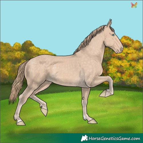 Horse Color:Perlino 