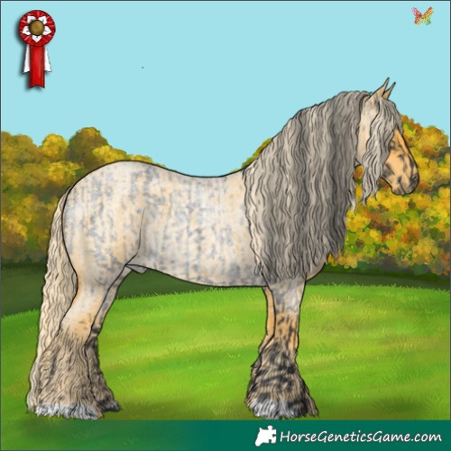 Horse Color:Blue Roan  and Palomino Roan 
