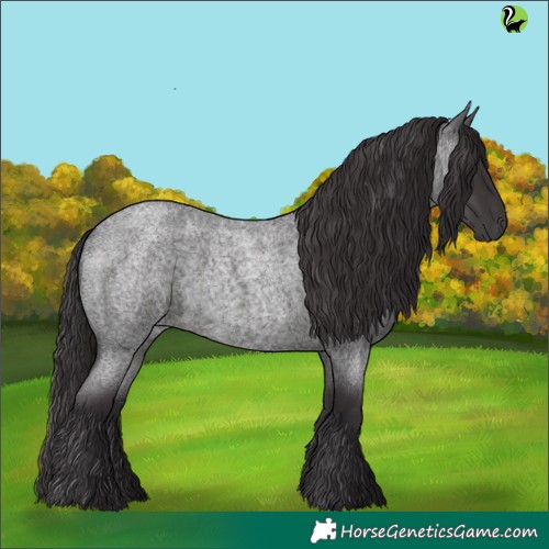 Horse Color:Smoky Blue Roan 