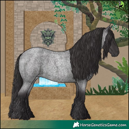 Horse Color:Smoky Blue Roan 