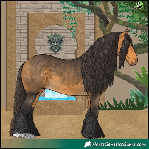Horse Color:Buckskin