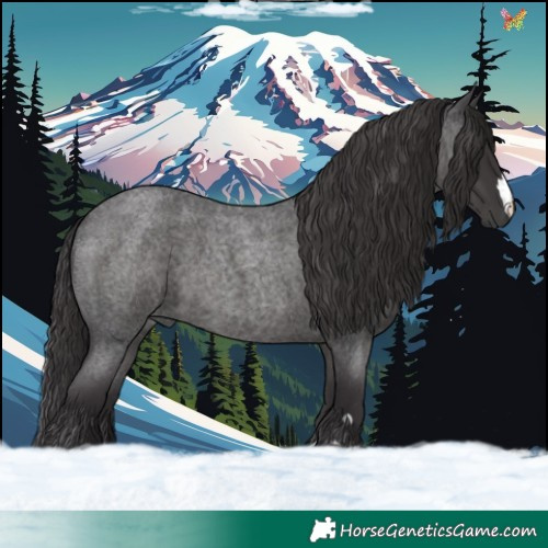 Horse Color:Smoky Blue Roan 