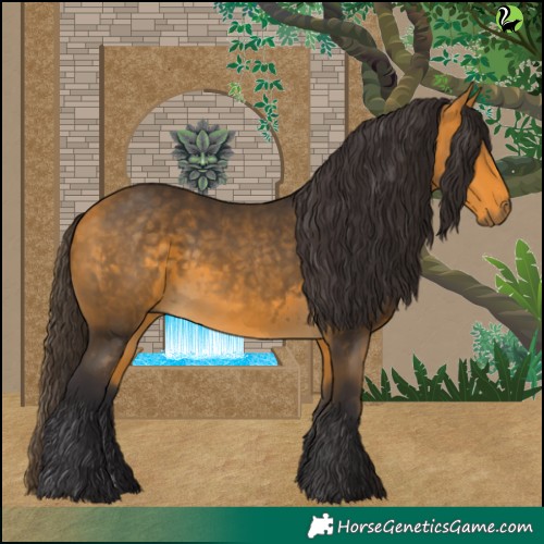Horse Color:Buckskin 