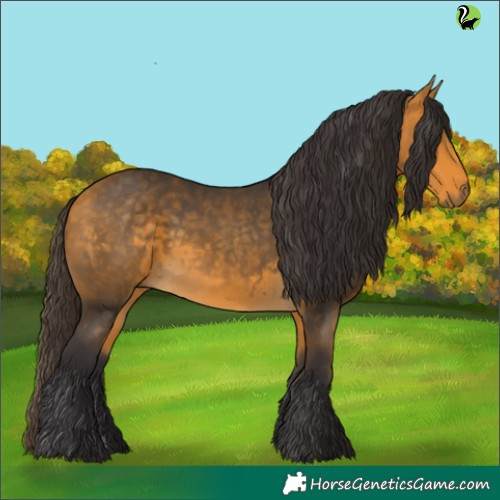 Horse Color:Buckskin