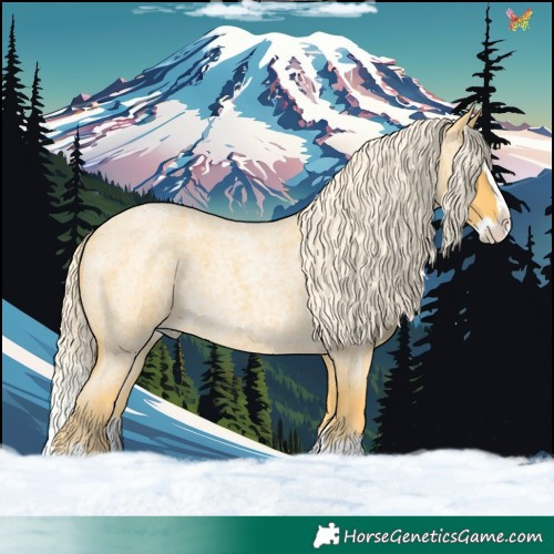 Horse Color:Palomino Roan Splash 